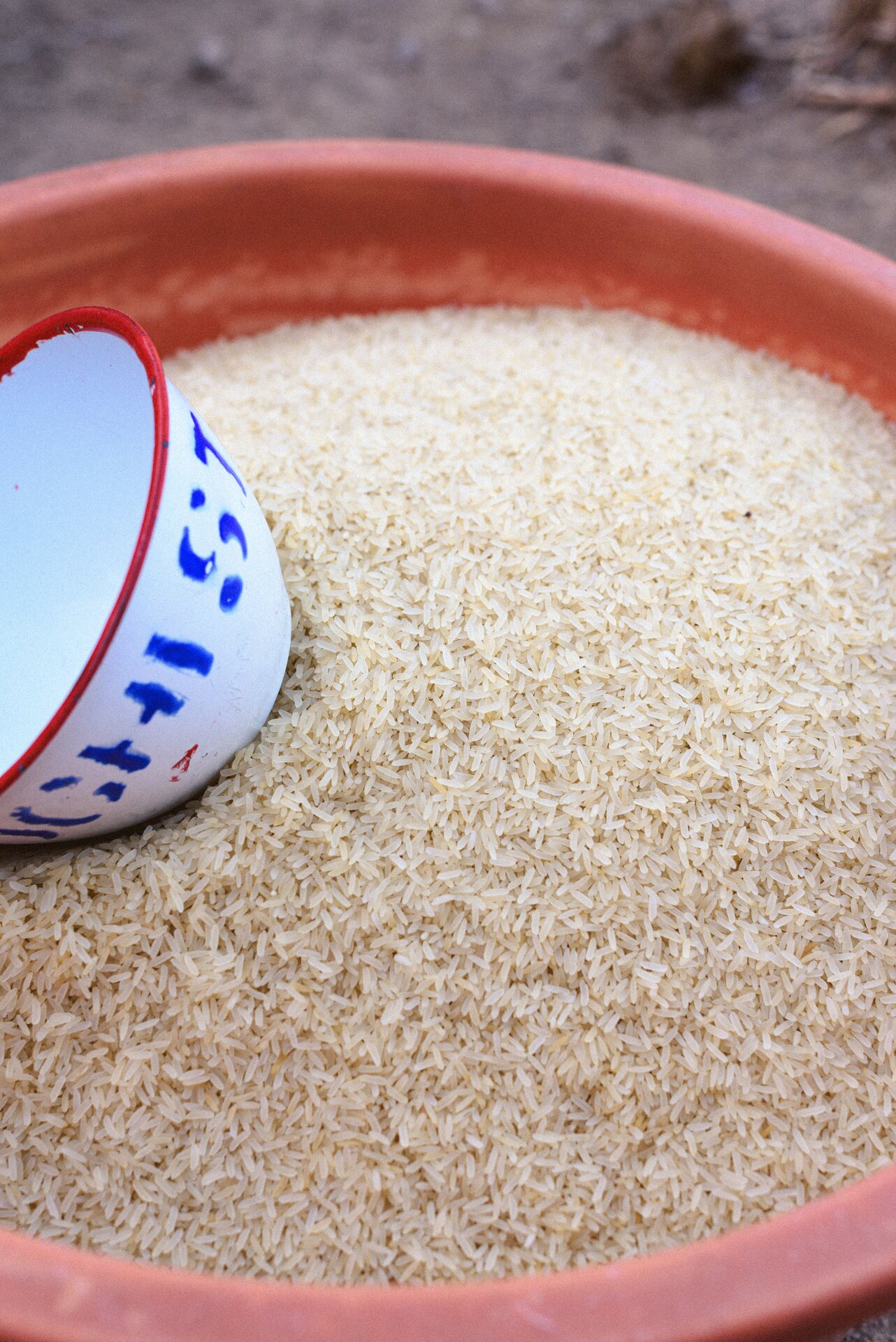 Rice